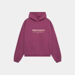 Eme Studios Hectic Oversized Dry Rose Hoodie in front side